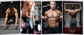 Premium padded leather gym grips